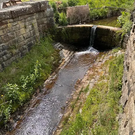 度假居 Wend Gardens Carleton Pet Friendly 斯基普顿