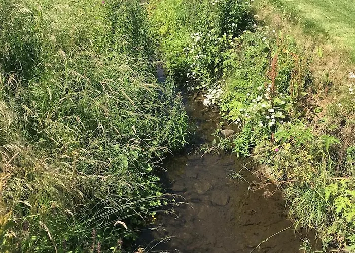 Semesterbostad Wend Gardens Carleton Pet Friendly Skipton